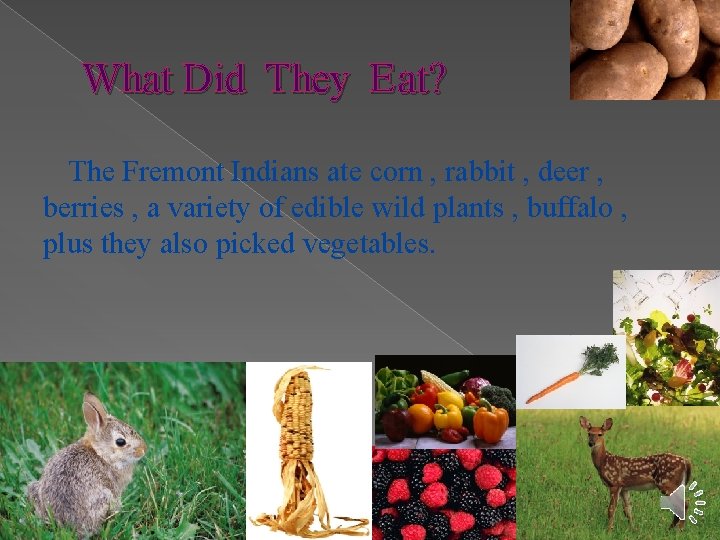 What Did They E at? The Fremont Indians ate corn , rabbit , deer
