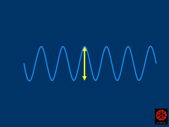 Harry Kroto 2004 
