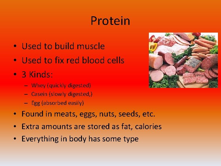 Protein • Used to build muscle • Used to fix red blood cells •