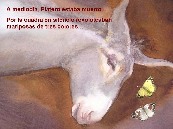 A mediodía, Platero estaba muerto… Por la cuadra en silencio revoloteaban mariposas de tres
