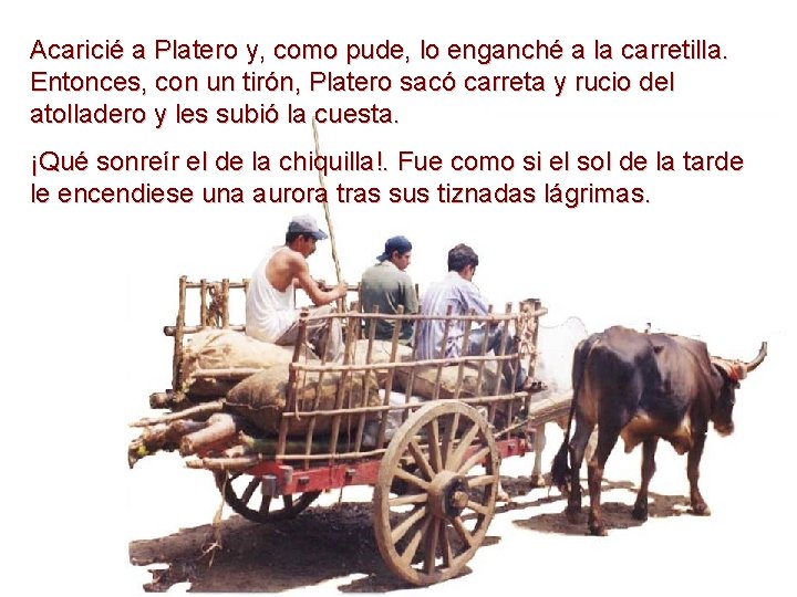 Acaricié a Platero y, como pude, lo enganché a la carretilla. Entonces, con un