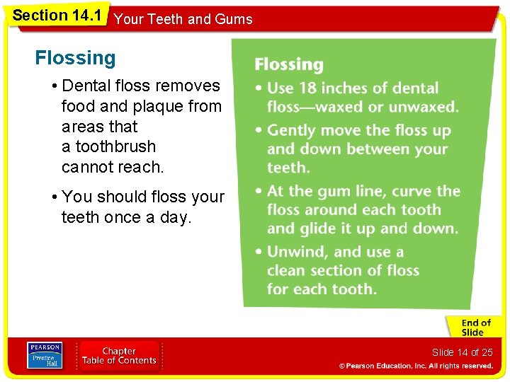 Section 14. 1 Your Teeth and Gums Flossing • Dental floss removes food and