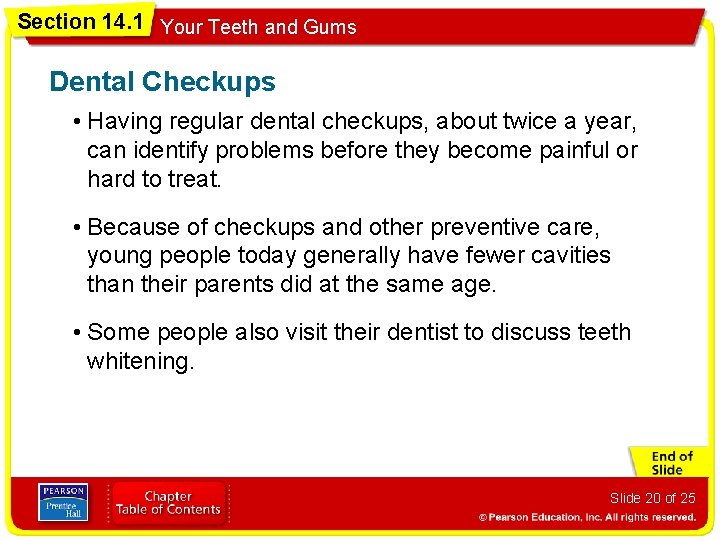 Section 14. 1 Your Teeth and Gums Dental Checkups • Having regular dental checkups,