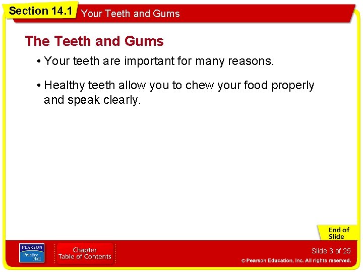 Section 14. 1 Your Teeth and Gums The Teeth and Gums • Your teeth