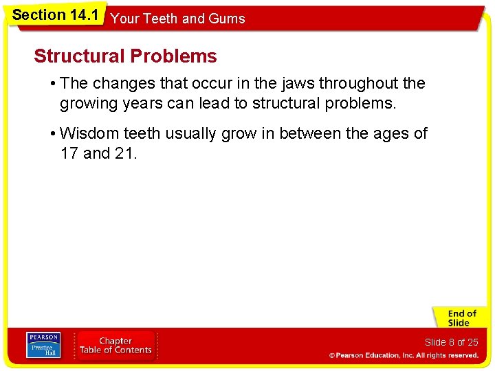 Section 14. 1 Your Teeth and Gums Structural Problems • The changes that occur