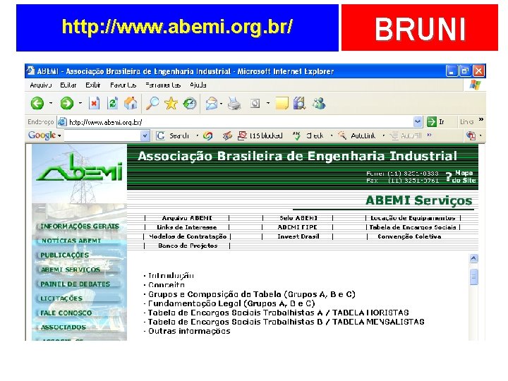 http: //www. abemi. org. br/ BRUNI 