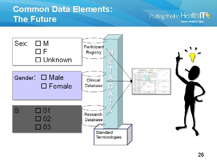 Common Data Elements: The Future A terminology based metadata solution frees data consumers from