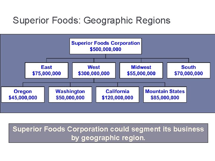 Superior Foods: Geographic Regions Superior Foods Corporation could segment its business by geographic region.