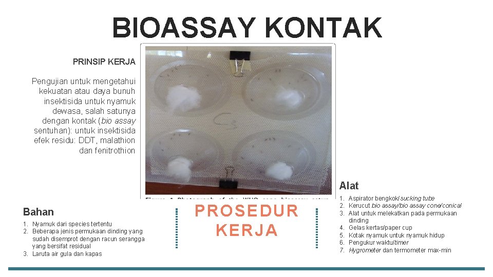 BIOASSAY KONTAK PRINSIP KERJA Pengujian untuk mengetahui kekuatan atau daya bunuh insektisida untuk nyamuk