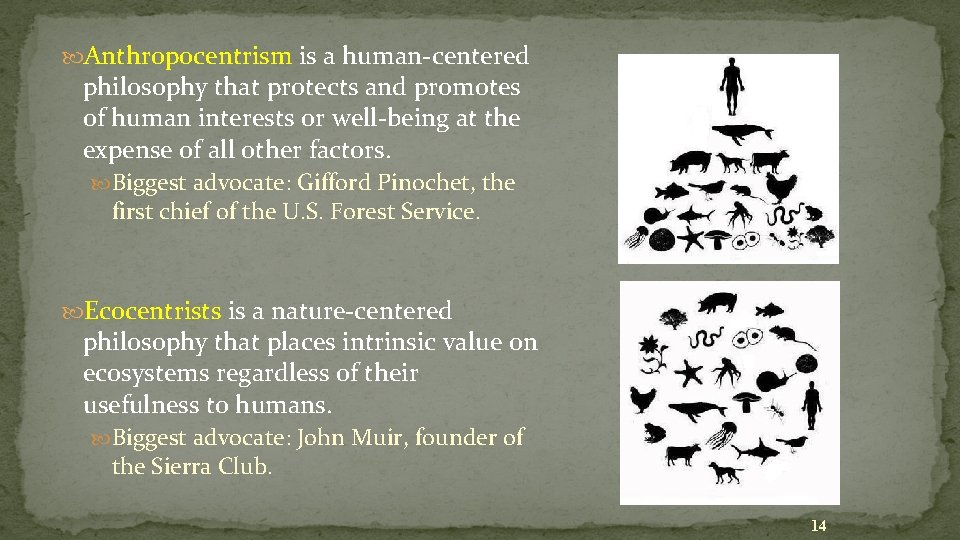  Anthropocentrism is a human-centered philosophy that protects and promotes of human interests or