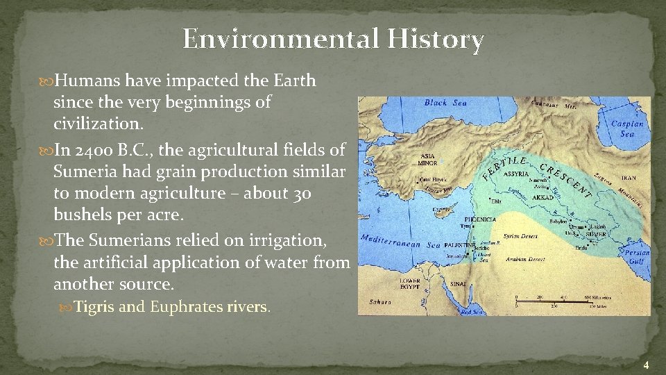 Environmental History Humans have impacted the Earth since the very beginnings of civilization. In