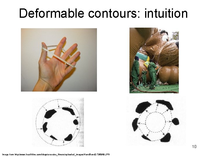 Deformable contours: intuition 10 Image from http: //www. healthline. com/blogs/exercise_fitness/uploaded_images/Hand. Band 2 -795868. JPG