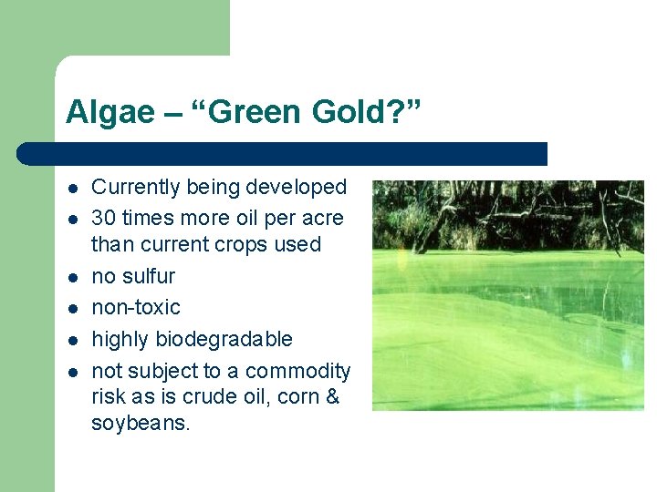 Algae – “Green Gold? ” l l l Currently being developed 30 times more