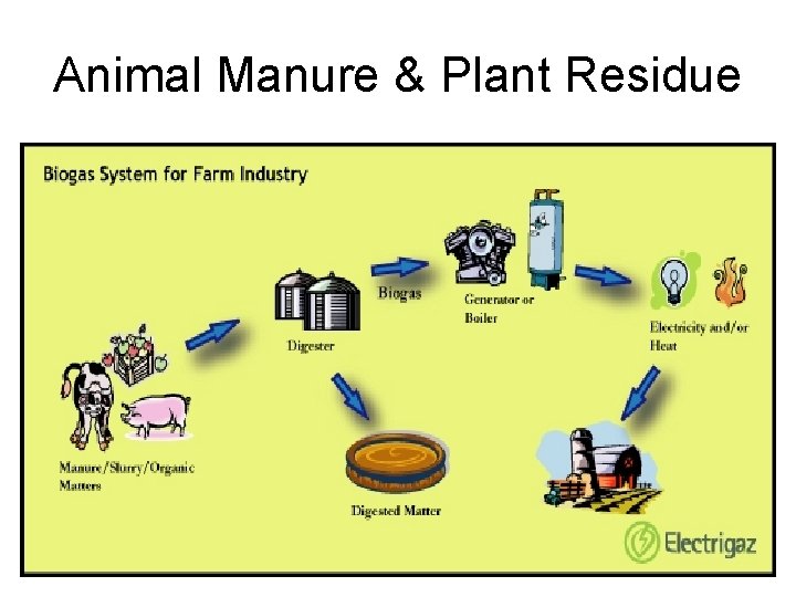 Animal Manure & Plant Residue 