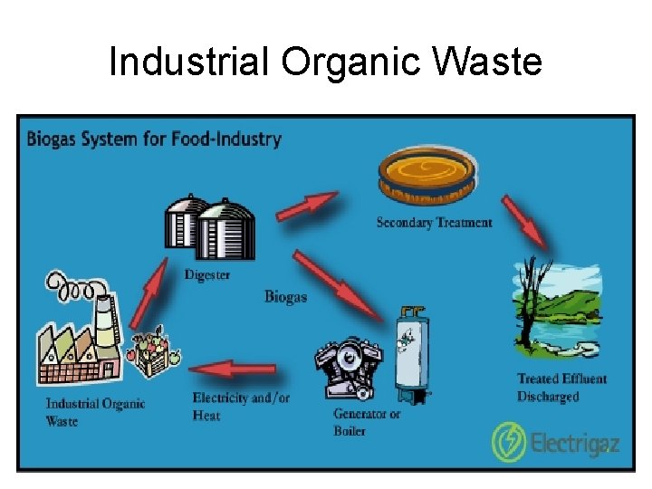 Industrial Organic Waste 