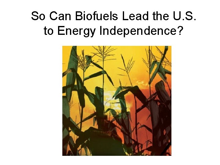 So Can Biofuels Lead the U. S. to Energy Independence? 