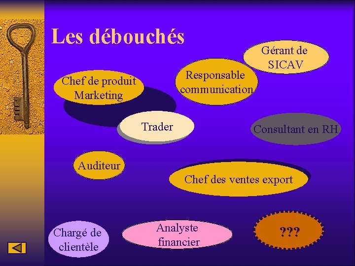 Les débouchés Responsable communication Chef de produit Marketing Trader Gérant de SICAV Consultant en