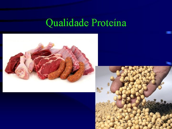Qualidade Proteína 