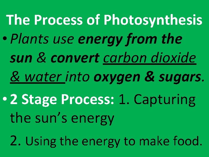 The Process of Photosynthesis • Plants use energy from the sun & convert carbon