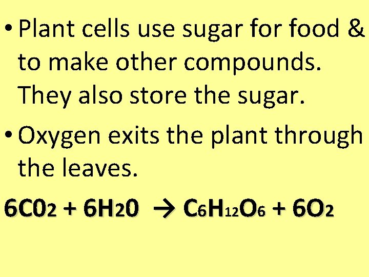  • Plant cells use sugar food & to make other compounds. They also