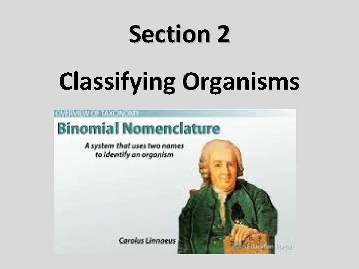 Section 2 Classifying Organisms 