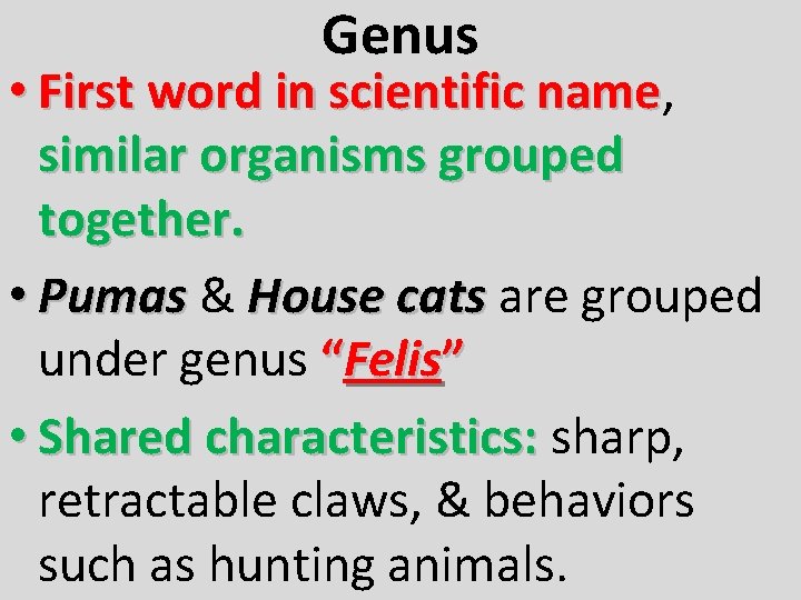 Genus • First word in scientific name, name similar organisms grouped together. • Pumas