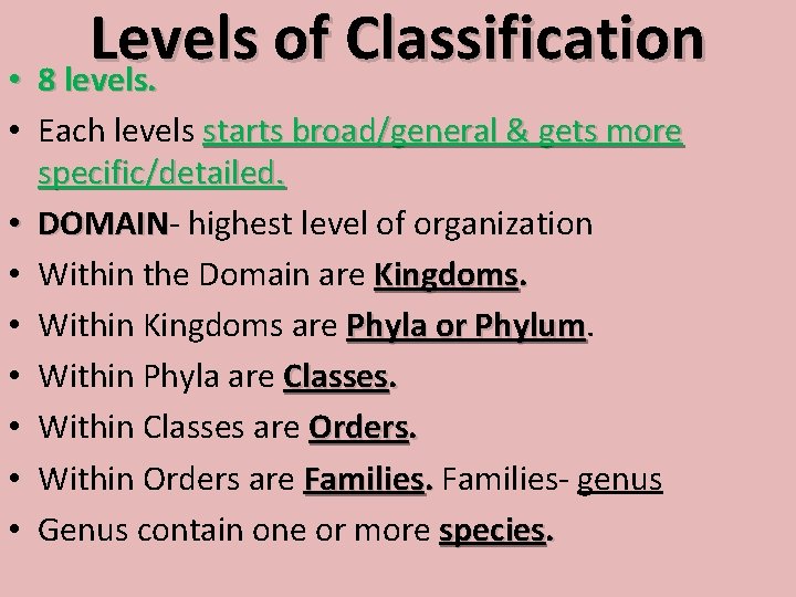 Levels of Classification • 8 levels. • Each levels starts broad/general & gets more