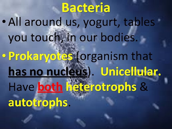 Bacteria • All around us, yogurt, tables you touch, in our bodies. • Prokaryotes