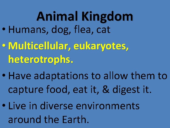 Animal Kingdom • Humans, dog, flea, cat • Multicellular, eukaryotes, heterotrophs. • Have adaptations