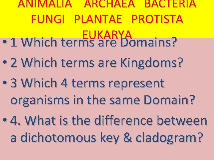 ANIMALIA ARCHAEA BACTERIA FUNGI PLANTAE PROTISTA EUKARYA • 1 Which terms are Domains? •