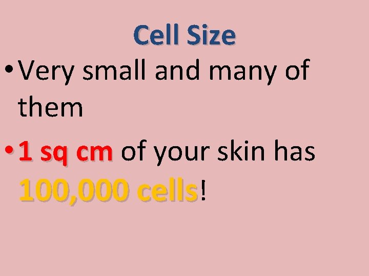 Cell Size • Very small and many of them • 1 sq cm of