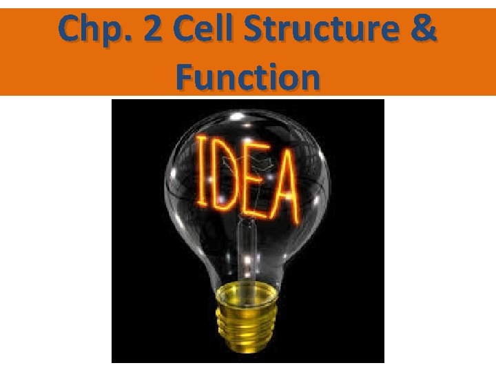 Chp. 2 Cell Structure & Function 