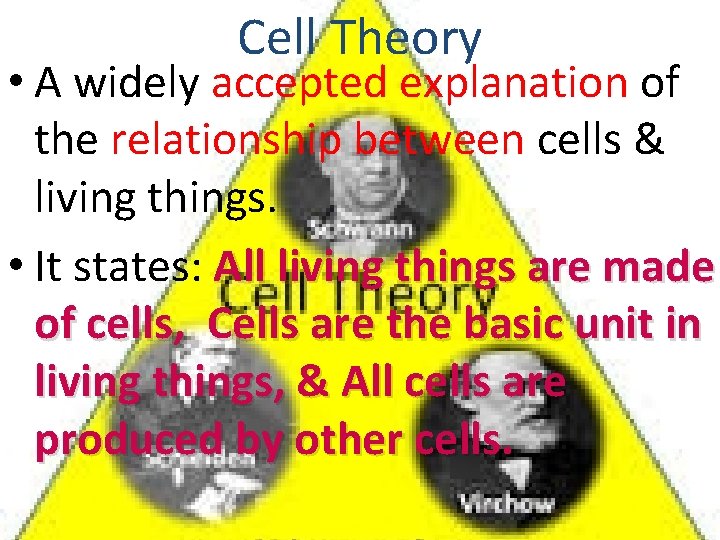 Cell Theory • A widely accepted explanation of the relationship between cells & living