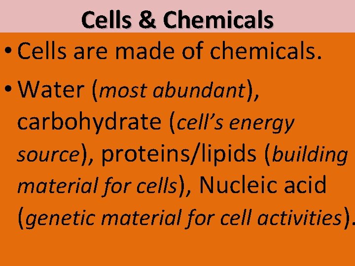 Cells & Chemicals • Cells are made of chemicals. • Water (most abundant), carbohydrate