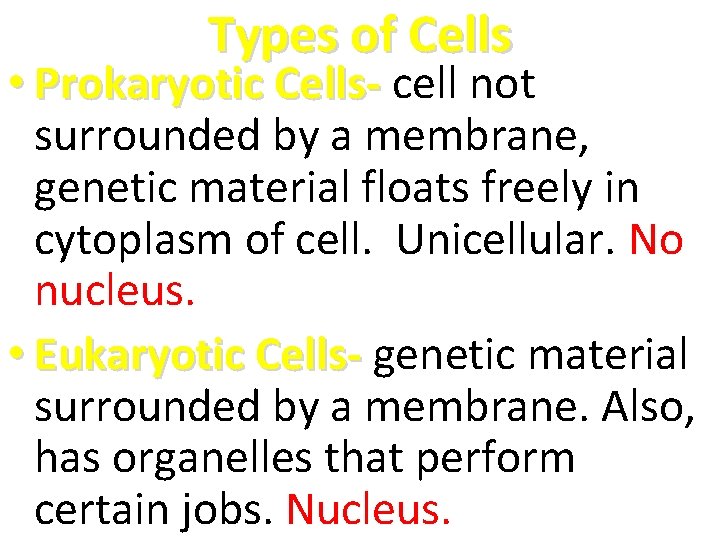 Types of Cells • Prokaryotic Cells- cell not surrounded by a membrane, genetic material