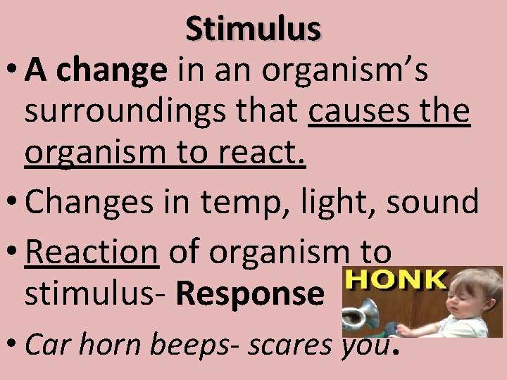 Stimulus • A change in an organism’s surroundings that causes the organism to react.