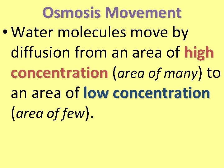 Osmosis Movement • Water molecules move by diffusion from an area of high concentration