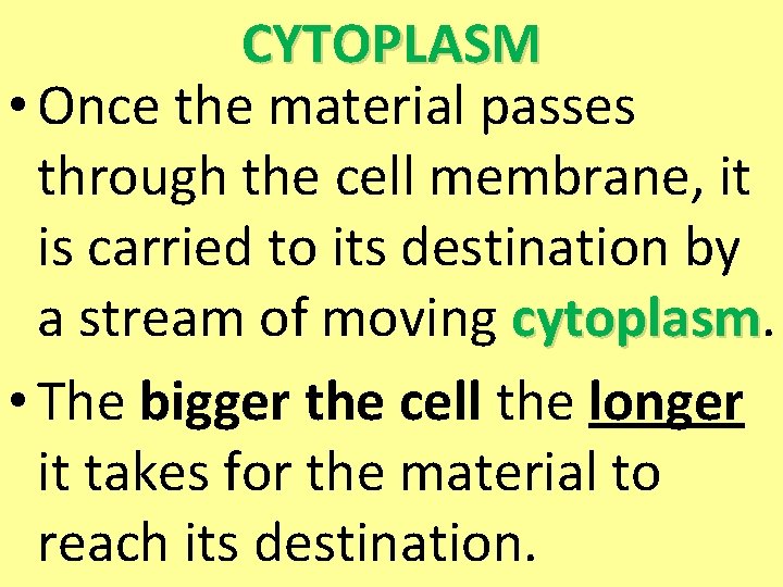 CYTOPLASM • Once the material passes through the cell membrane, it is carried to