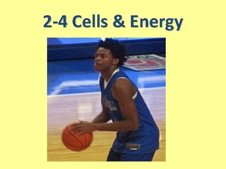 2 -4 Cells & Energy 