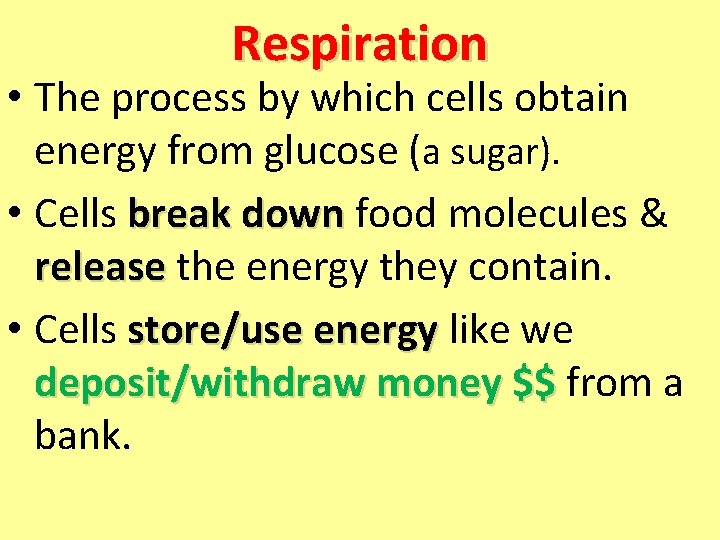 Respiration • The process by which cells obtain energy from glucose (a sugar). •