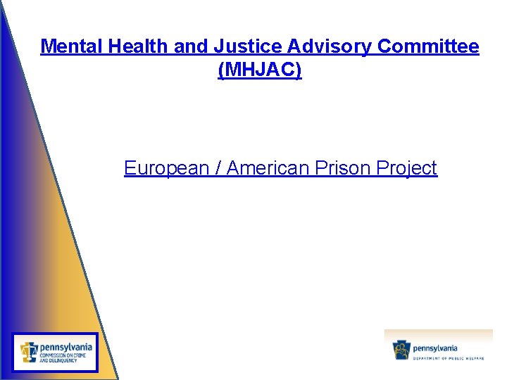 Mental Health and Justice Advisory Committee (MHJAC) European / American Prison Project 