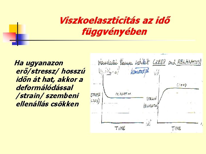 Viszkoelaszticitás az idő függvényében Ha ugyanazon erő/stressz/ hosszú időn át hat, akkor a deformálódással