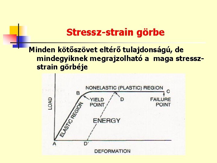 Stressz-strain görbe Minden kötőszövet eltérő tulajdonságú, de mindegyiknek megrajzolható a maga stresszstrain görbéje 