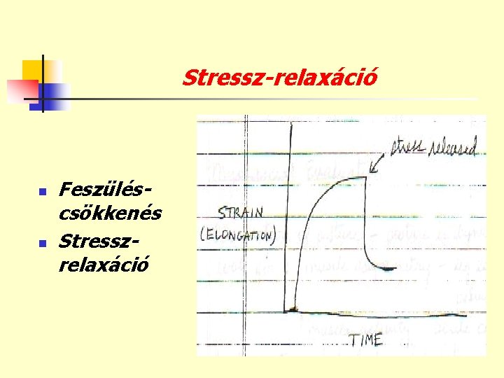 Stressz-relaxáció n n Feszüléscsökkenés Stresszrelaxáció 