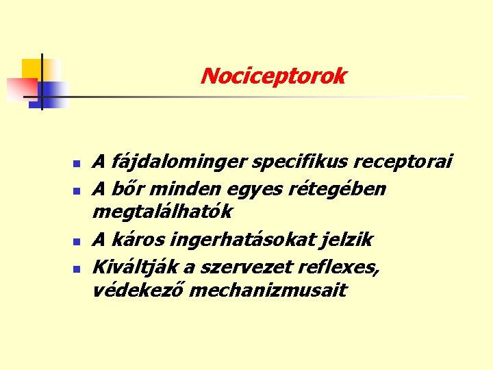 Nociceptorok n n A fájdalominger specifikus receptorai A bőr minden egyes rétegében megtalálhatók A