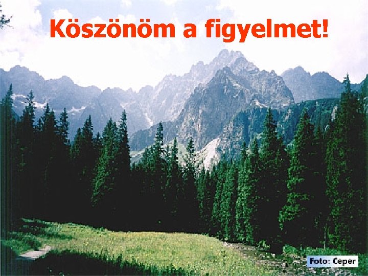 Köszönöm a figyelmet! 