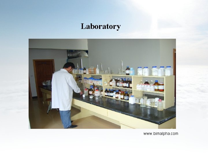 Laboratory www. bimalpha. com 
