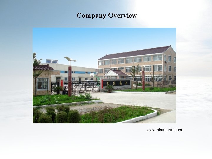 Company Overview www. bimalpha. com 