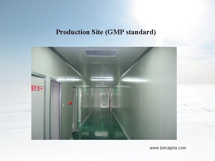 Production Site (GMP standard) www. bimalpha. com 