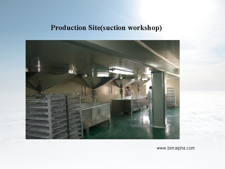 Production Site(suction workshop) www. bimalpha. com 